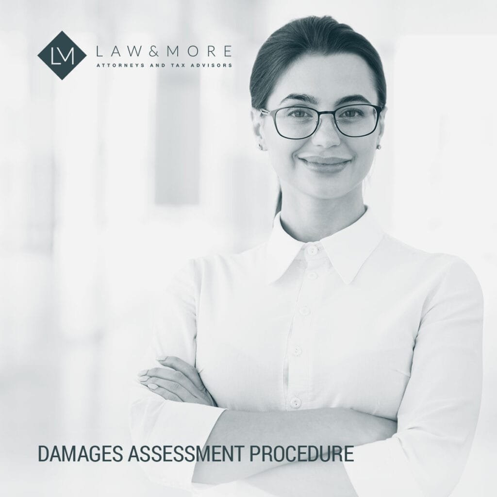 Understanding the Damages Assessment Procedure