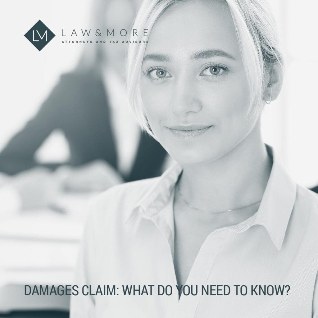 Liability And Damages Claims Explained