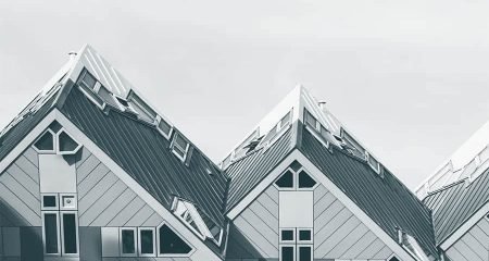 Dutch Immigration Law: Residence Permits & Naturalisation